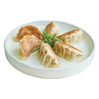 Gyoza Verdura